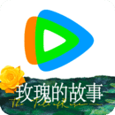 踢裆蛋碎瞬间
